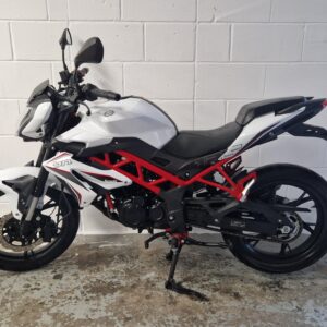 Benelli bn white 2022